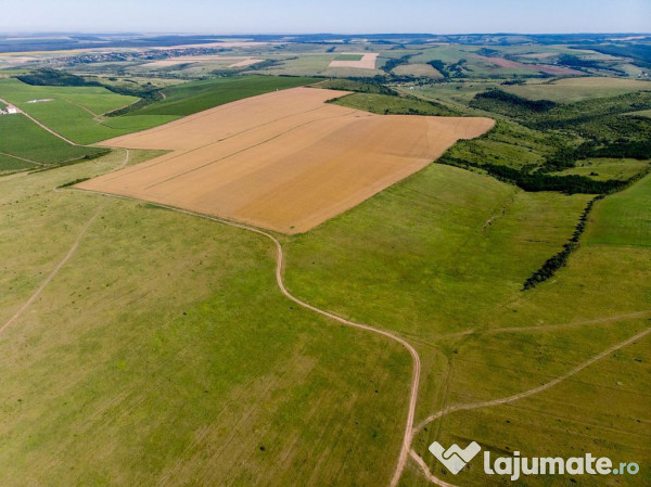 Teren arabil de 349 hectare în Buzău 
