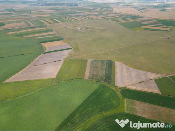 Teren arabil de 349 hectare în Buzău 