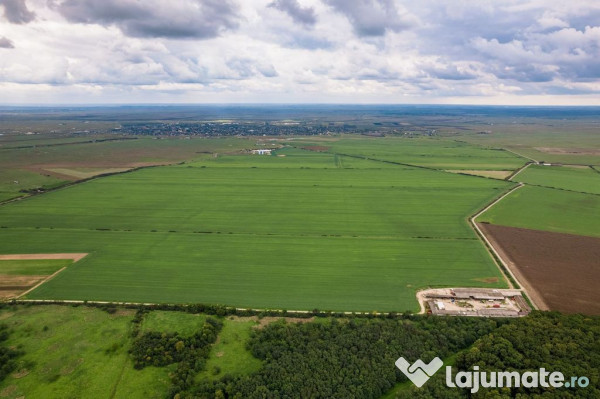 Teren arabil de 1299 hectare în Iași 