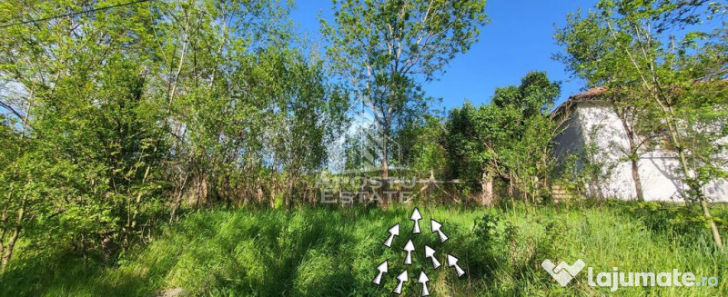 Teren intravilan, In Rate Cuied Arad 