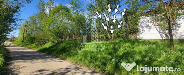 Teren intravilan, In Rate Cuied Arad 