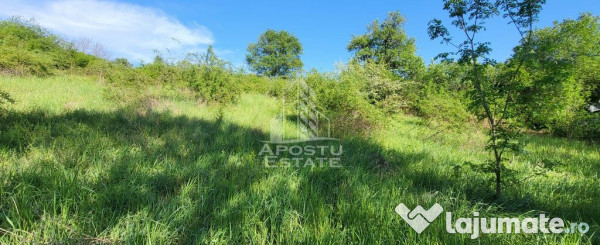 Teren intravilan, In Rate Cuied Arad 