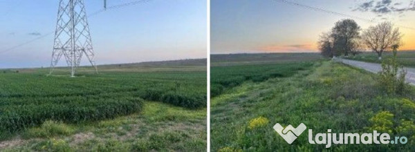 Teren cota parte 1/6 Paunesti, ID: R2547851