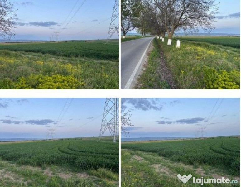 Teren cota parte 1/6 Paunesti, ID: R2547851