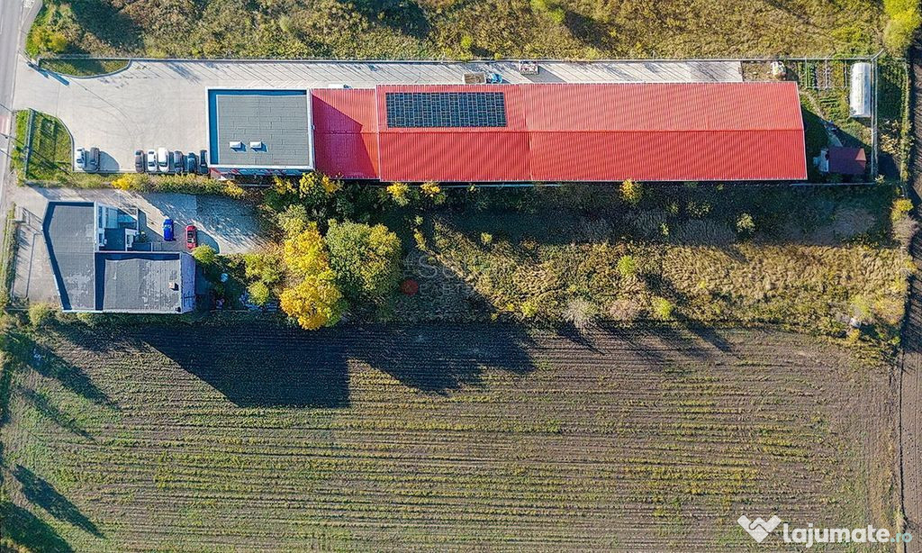 Sediu Firma | Activitati Comerciale 