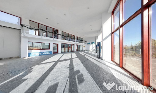 Sediu Firma | Activitati Comerciale 