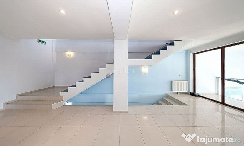 Sediu Firma | Activitati Comerciale 