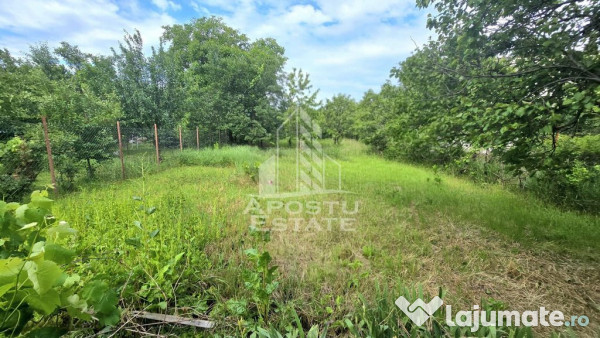 Casa individuala 3 camere, teren 678 mp Parneava 