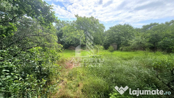 Casa individuala 3 camere, teren 678 mp Parneava 