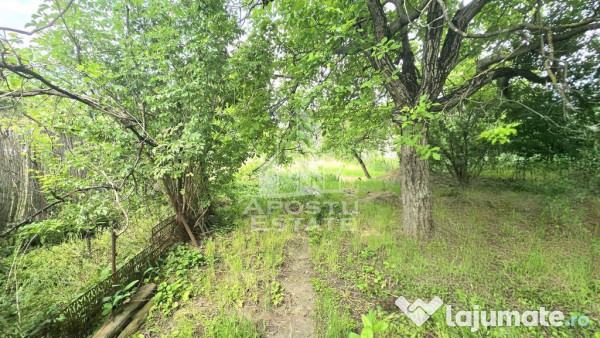 Casa individuala 3 camere, teren 678 mp Parneava 