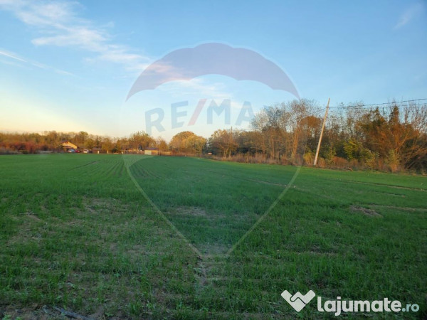 Teren 1,000mp Ciolpani / Strada Catunului 