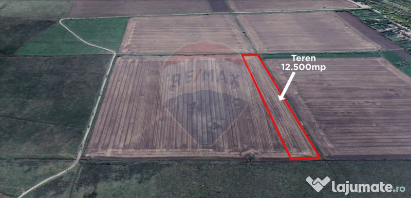 Teren 12.500 mp/Extravilan/ Dumbrava-Prahova 