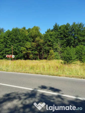 TEREN INTRAVILAN ÎN MARGA-LA DN68 JUD.CARAȘ-SEVERIN