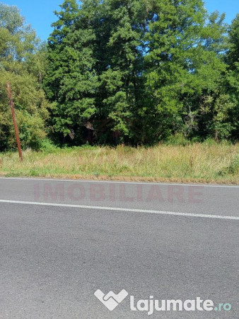 TEREN INTRAVILAN ÎN MARGA-LA DN68 JUD.CARAȘ-SEVERIN