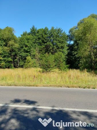 TEREN INTRAVILAN ÎN MARGA-LA DN68 JUD.CARAȘ-SEVERIN