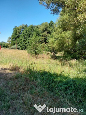 TEREN INTRAVILAN ÎN MARGA-LA DN68 JUD.CARAȘ-SEVERIN