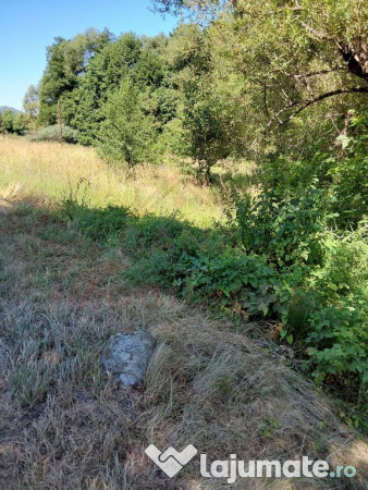 TEREN INTRAVILAN ÎN MARGA-LA DN68 JUD.CARAȘ-SEVERIN