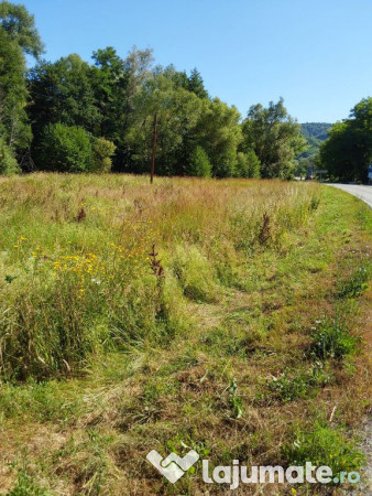 TEREN INTRAVILAN ÎN MARGA-LA DN68 JUD.CARAȘ-SEVERIN