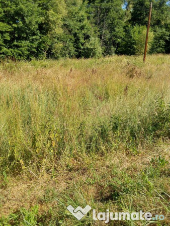 TEREN INTRAVILAN ÎN MARGA-LA DN68 JUD.CARAȘ-SEVERIN