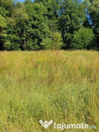 TEREN INTRAVILAN ÎN MARGA-LA DN68 JUD.CARAȘ-SEVERIN