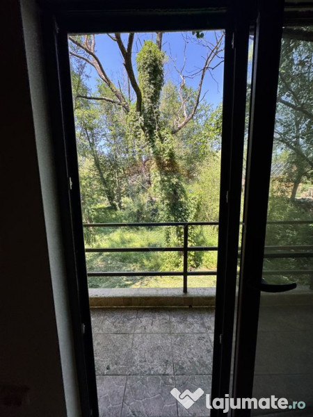 Casa cu teren generos – refugiul perfect în Paltinoasa...