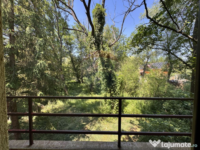 Casa cu teren generos – refugiul perfect în Paltinoasa...