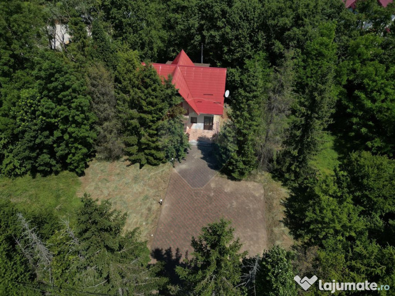 Casa cu teren generos – refugiul perfect în Paltinoasa...