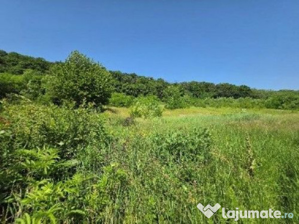 Teren Duda Epureni, ID: R2609594