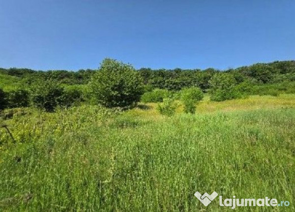 Teren Duda Epureni, ID: R2609594