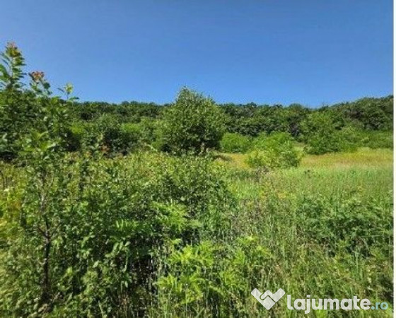 Teren Duda Epureni, ID: R2609594