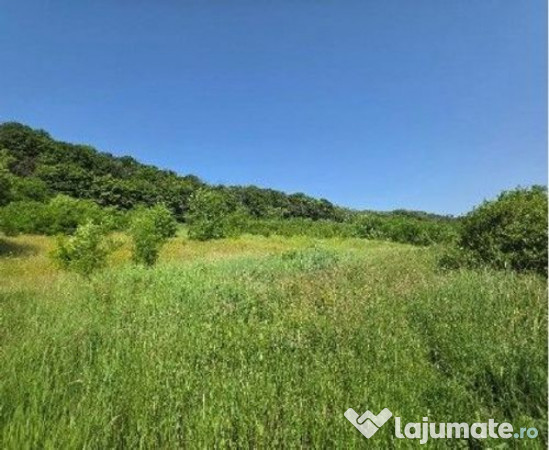 Teren Duda Epureni, ID: R2609594