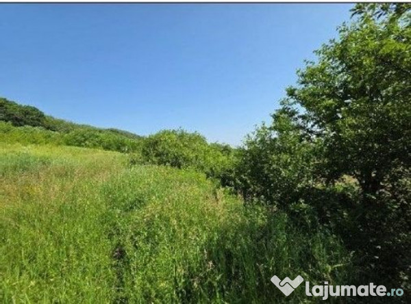 Teren Duda Epureni, ID: R2609594