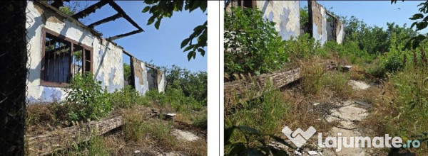 Casa si teren Cucuruzu, ID: R2609648