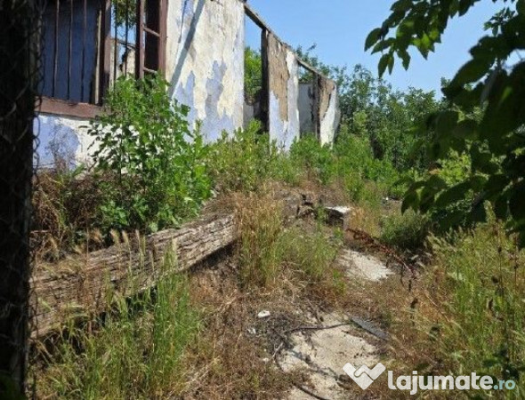 Casa si teren Cucuruzu, ID: R2609648