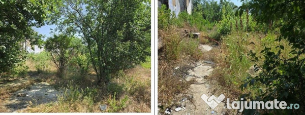 Casa si teren Cucuruzu, ID: R2609648