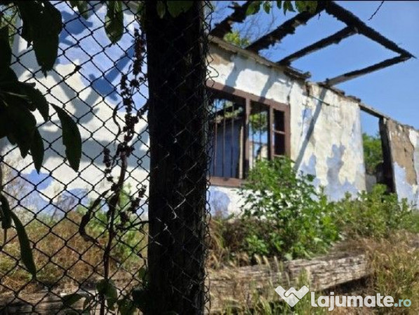 Casa si teren Cucuruzu, ID: R2609648