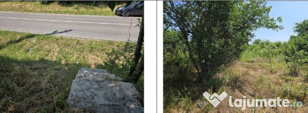 Casa si teren Cucuruzu, ID: R2609648