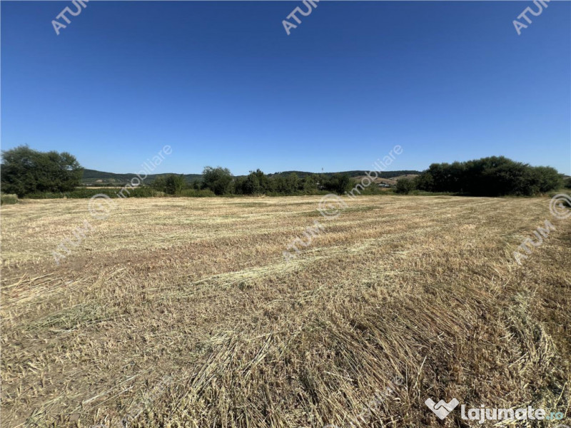 Teren de 3752 mp pozitionat pe colt cu PUZ situat in Cristia
