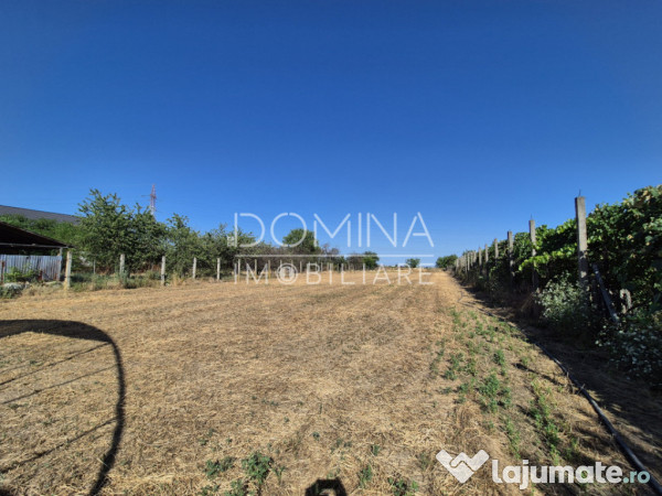 Casă cu teren impresionant în Târgu Jiu