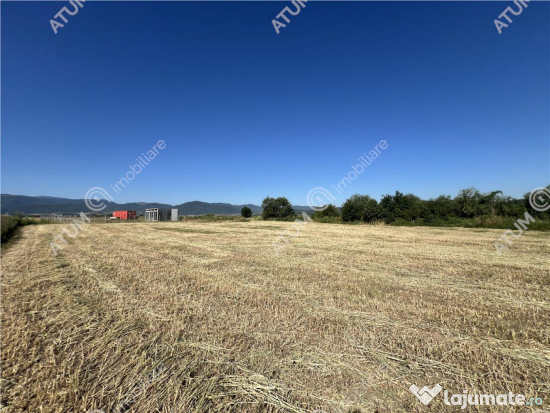 Teren intravilan de 543 mp cu PUZ constructie duplex in Cris