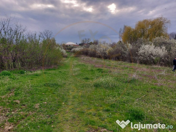 Teren Topoloveni - 3670 mp - langa padure, aproape de Centru