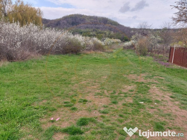 Teren Topoloveni - 3670 mp - langa padure, aproape de Centru
