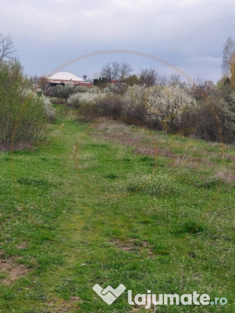 Teren Topoloveni - 3670 mp - langa padure, aproape de Centru