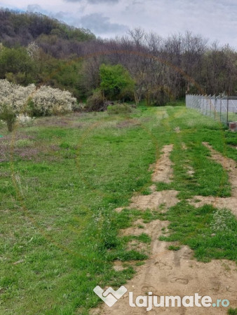 Teren Topoloveni - 3670 mp - langa padure, aproape de Centru