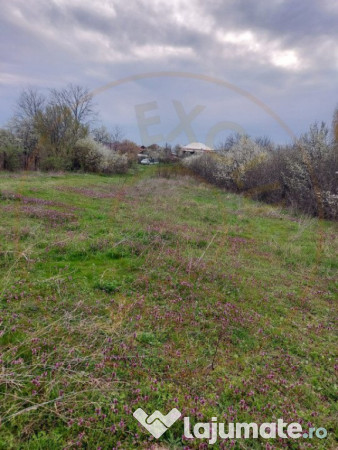 Teren Topoloveni - 3670 mp - langa padure, aproape de Centru