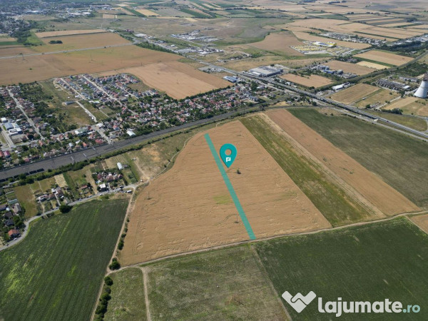 Tern intrevilan 4003 mp 