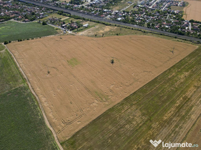 Tern intrevilan 4003 mp 