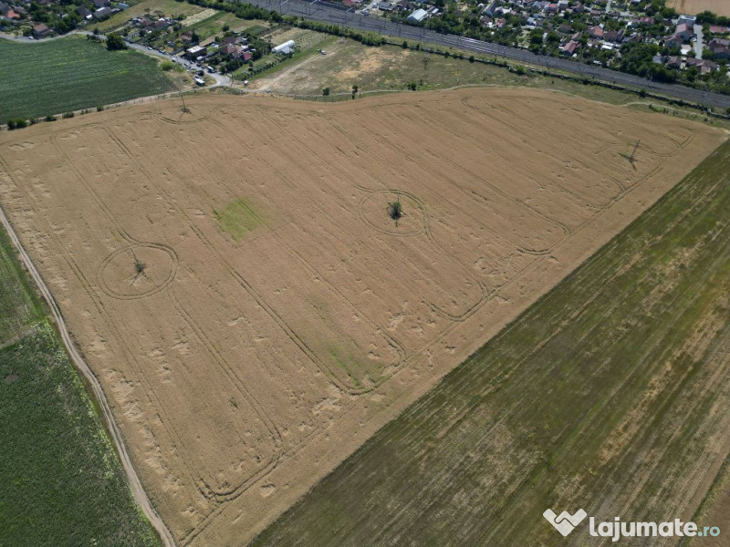 Tern intrevilan 4003 mp 