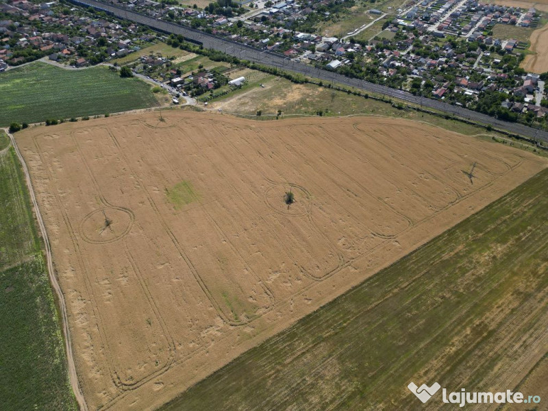 Tern intrevilan 4003 mp 