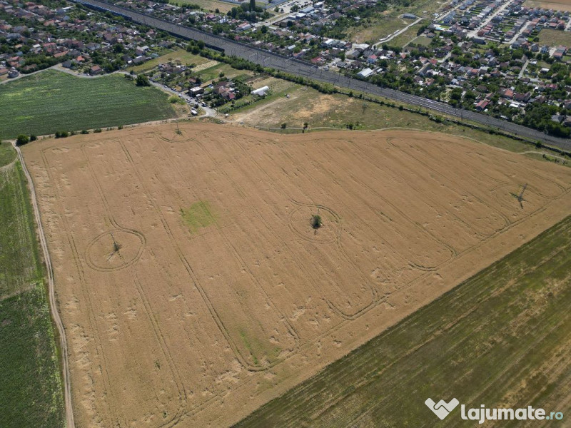 Tern intrevilan 4003 mp 